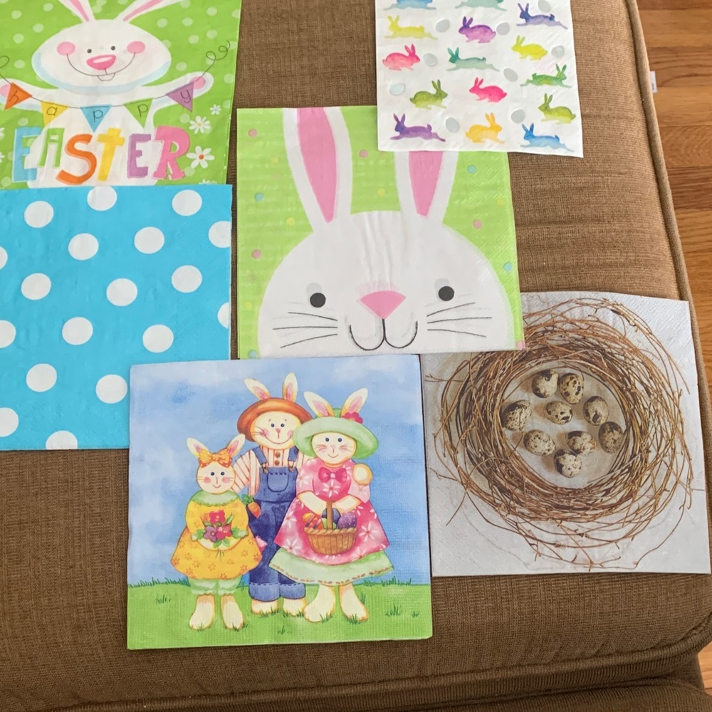Easter Bunny and Spring Napkin Set of 6